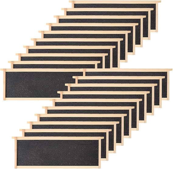 BeeCastle 20-Pack Waxed Foundation مع إطارات تجارية كاملة غير مجمعة ، 6-1 / 4-Inch (أسود)